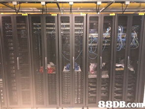 香港网络工程服务全面解析 从设计与维修到无线网络与系统支援