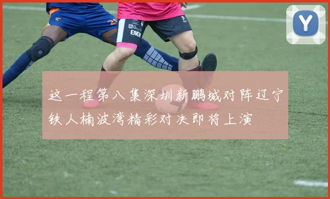 这一程第八集深圳新鹏城对阵辽宁铁人楠波湾精彩对决即将上演